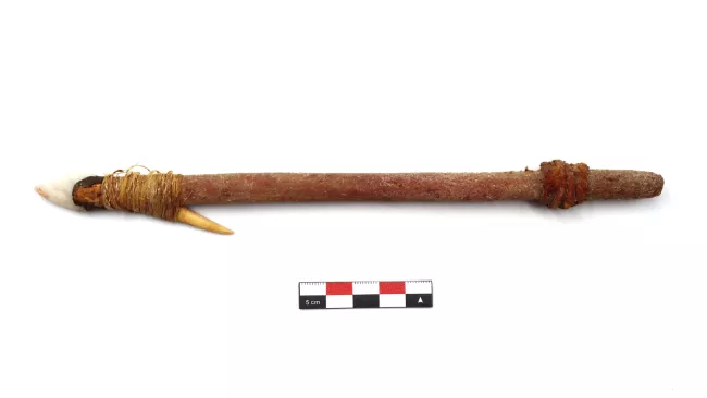 Cabezal de arpón