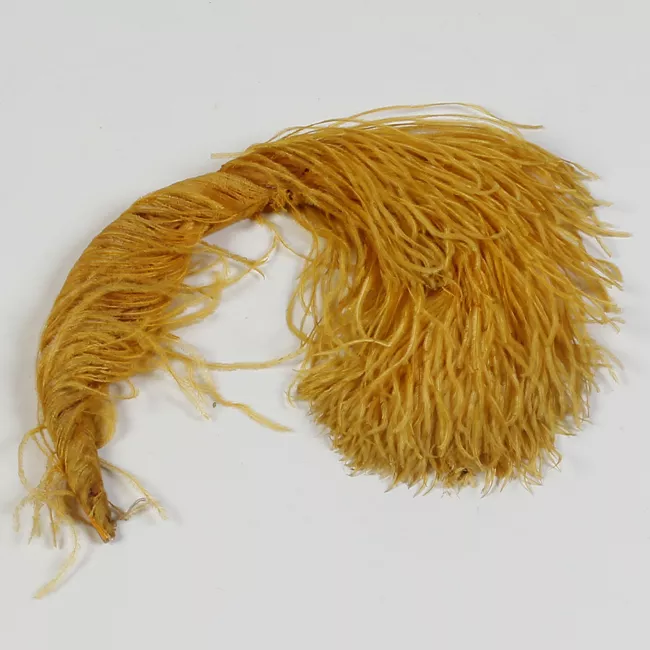 Pluma