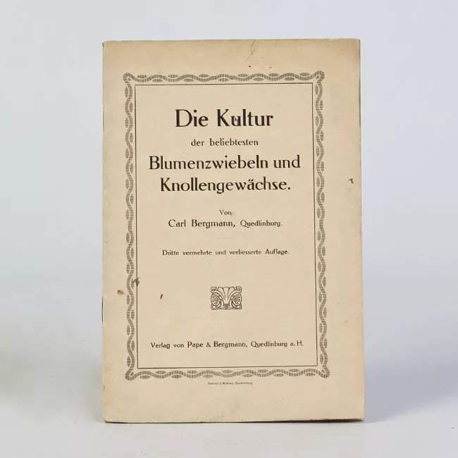 Die Kultur der beliebtesten Blumenzwiebeln und Knollengewächse