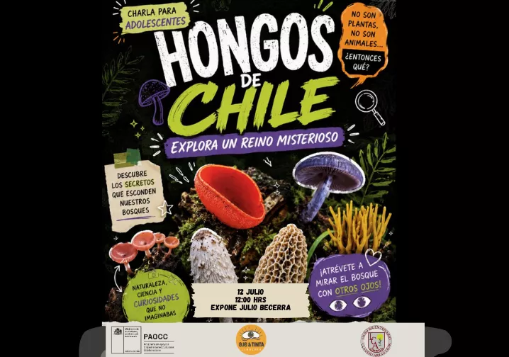 Hongos de Chile