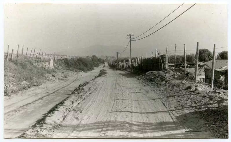 Camino de La Serena, 1952