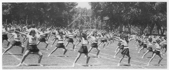 Revista de gimnasia