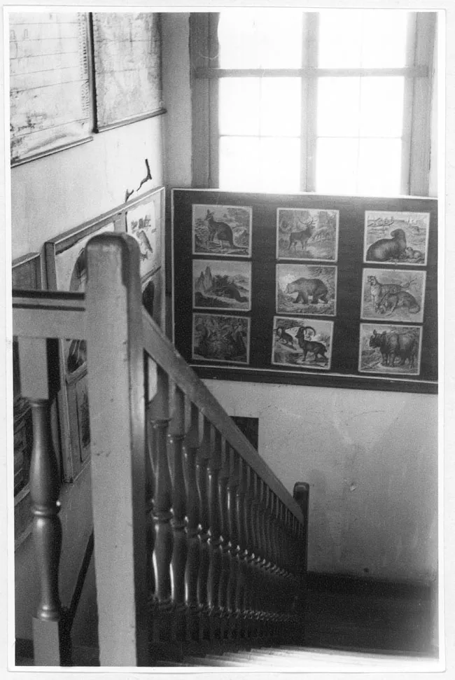 Museo Pedagógico