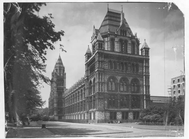 Museo de Historia Natural, Londres