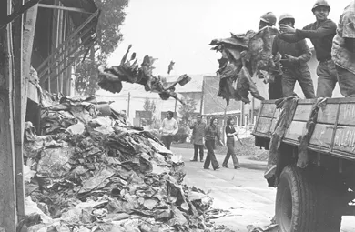 Trabajos Voluntarios