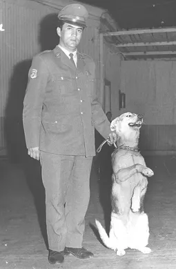 Perros Policiales de Carabineros