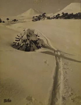 Paisaje nevado