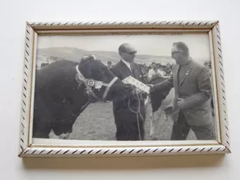 Exposición bovina