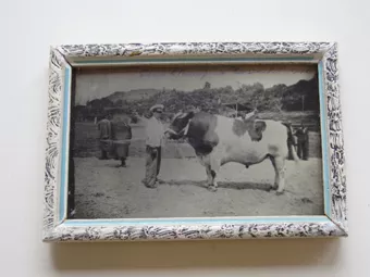 Gran Champion 1940