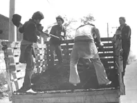 Chile, trabajos voluntarios