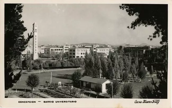 Concepción - Barrio Universitario 