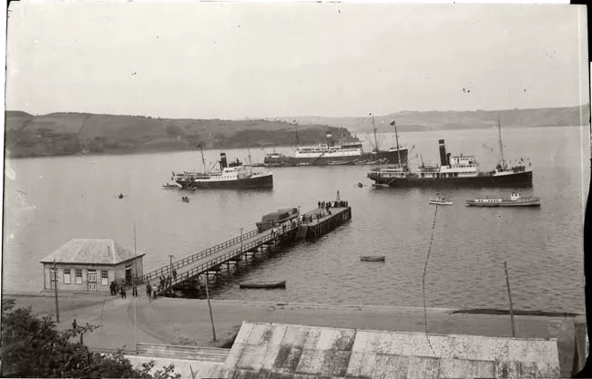 Muelle