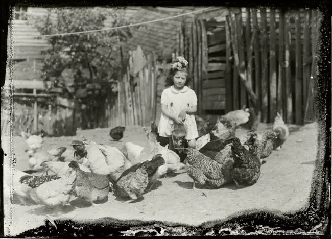 Niña con gallinas