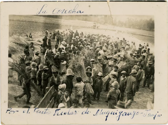 La cosecha
