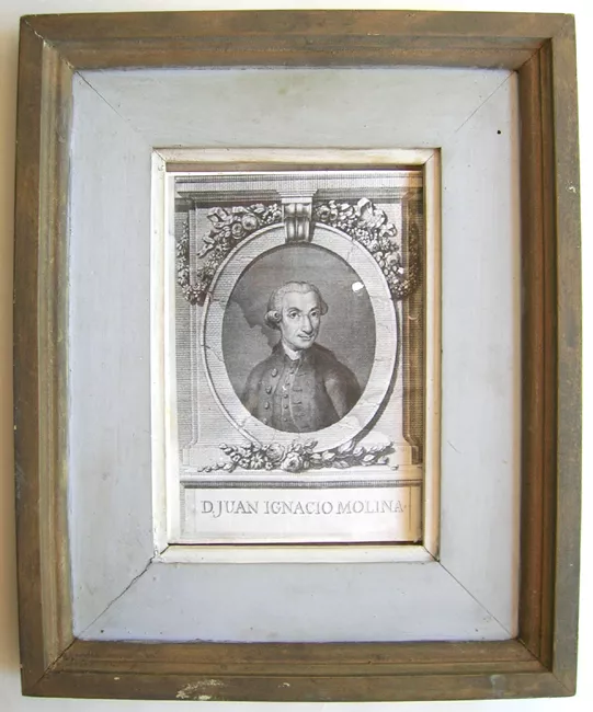 Retrato del Abate Juan Ignacio Molina