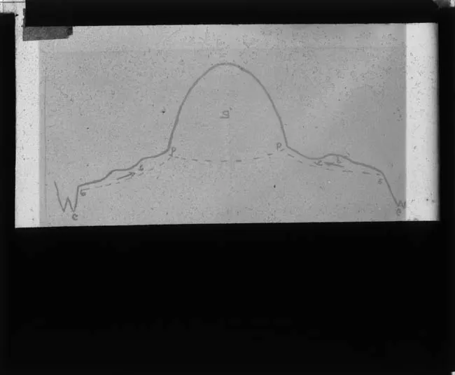 Reproducción de ilustración gráfica