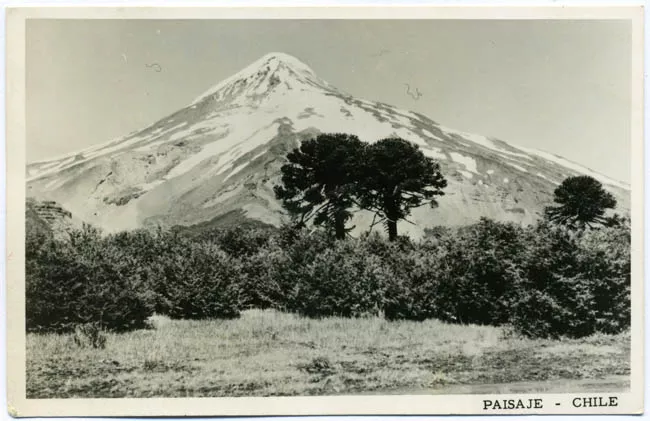 VOLCAN LANIN