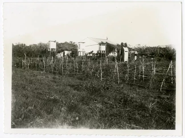 PLANTACION Y CASA. ISLA DE PASCUA.