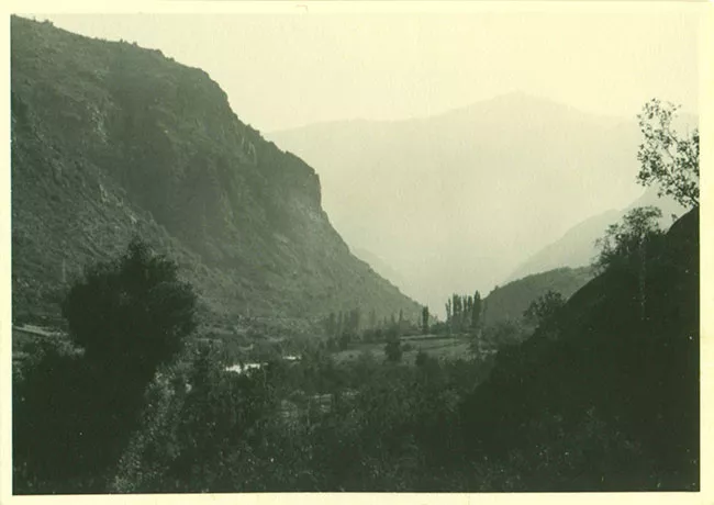 Paisaje rural
