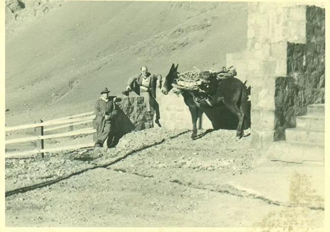 Paisaje cordillerano