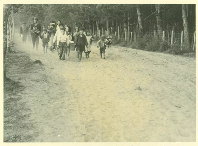 Paisaje rural