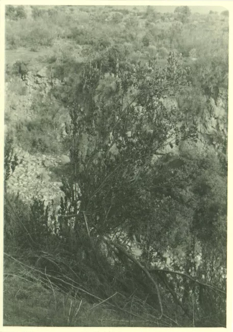 Paisaje rural