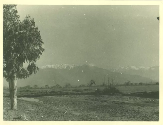 Paisaje rural