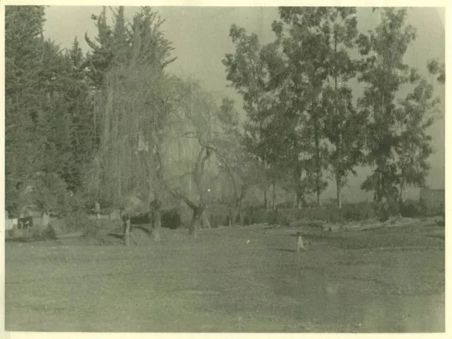 Paisaje rural