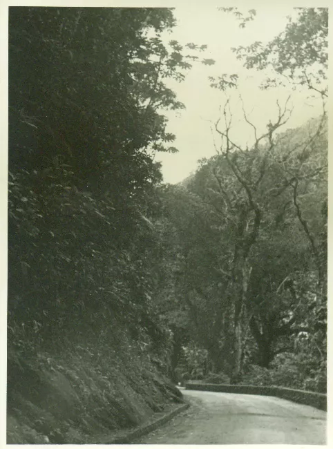 Paisaje rural