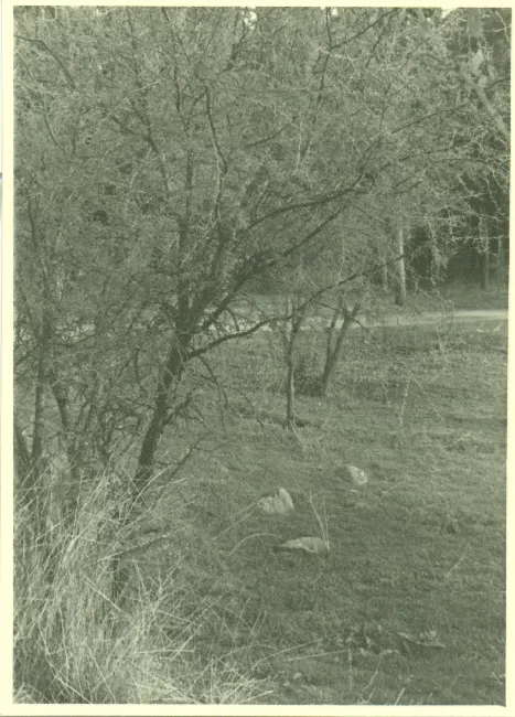 Paisaje rural