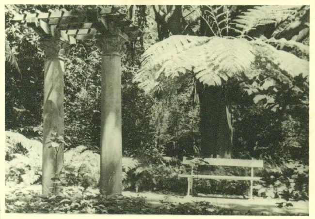 Jardín 