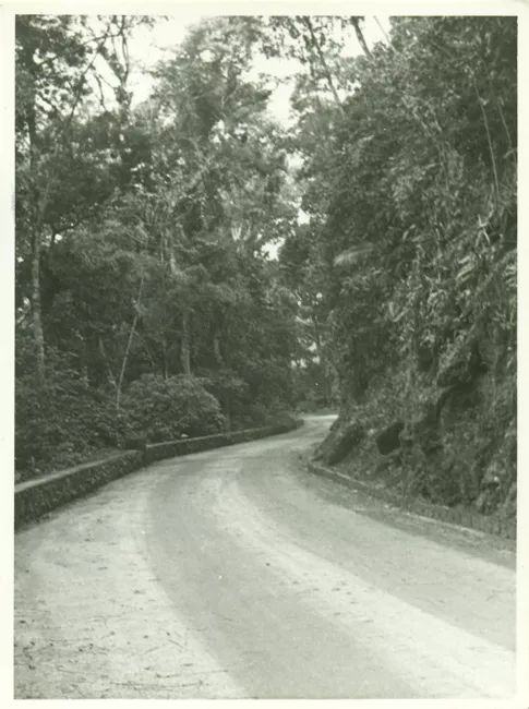 Paisaje rural
