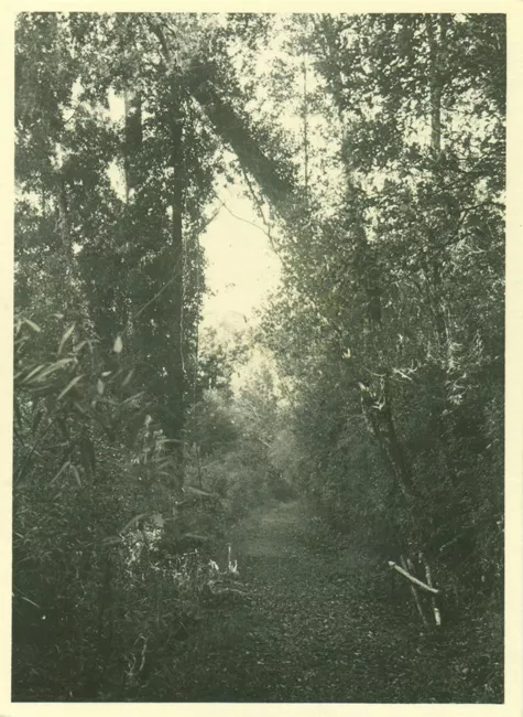 Paisaje rural