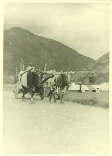 Paisaje rural