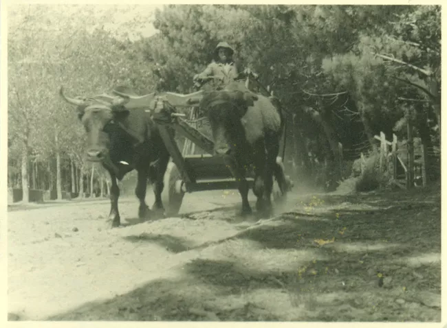 Paisaje rural