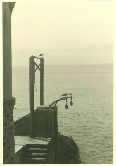 Muelle