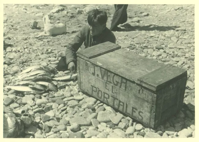 Pescadore