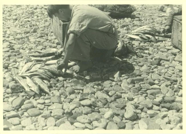 Pescador