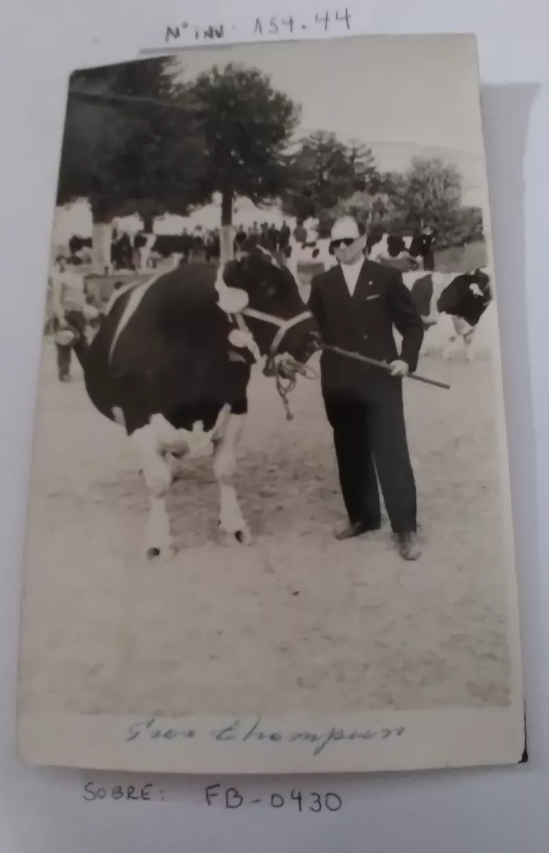 Sin título