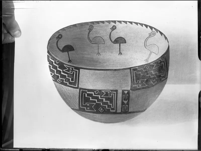 Dibujo de puco con decoración interior de aves. Posible Paya