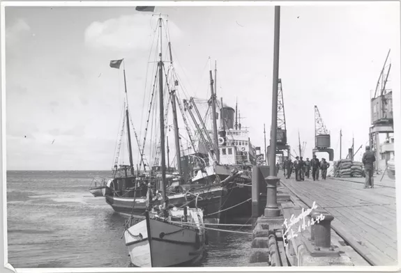 Muelle fiscal