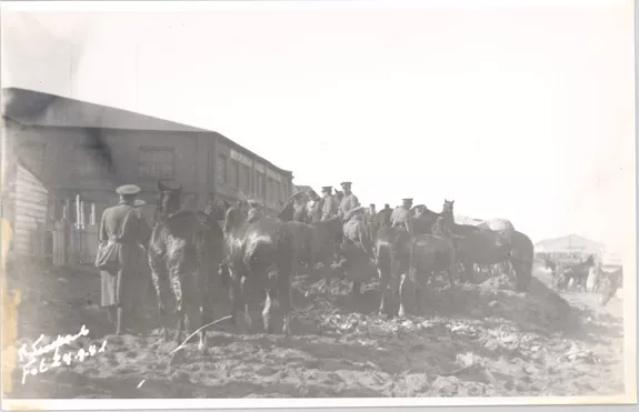 Caballos