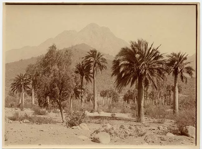 Paisaje natural