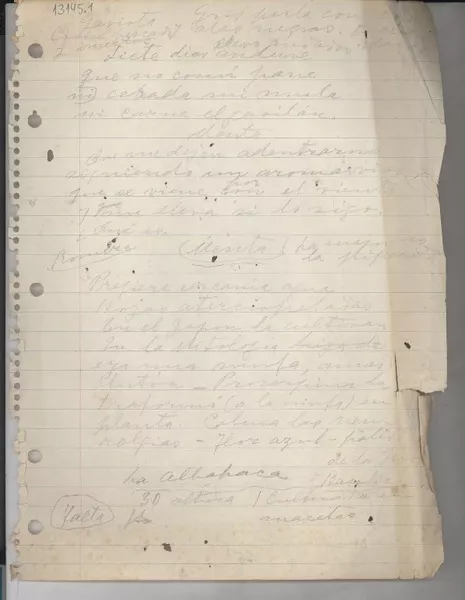 [Anotaciones sobre aves y plantas]  [manuscrito] Gabriela Mistral.