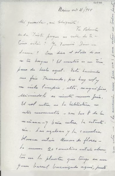 [Carta] 1955 oct. 21, México [a] Gabriela Mistral  [manuscrito] Palma Guillén.
