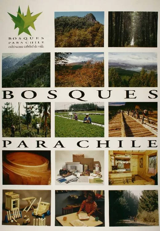 Bosques para Chile cultivamos calidad de vida. [estampa] :