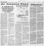 Antología poética de Angol de Wellington Rojas Valdebenito  [artículo] Amparo Pozo.