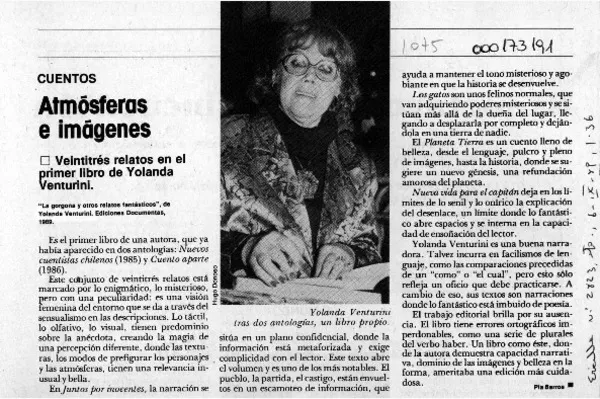 Atmósferas e imágenes  [artículo] Pía Barros.