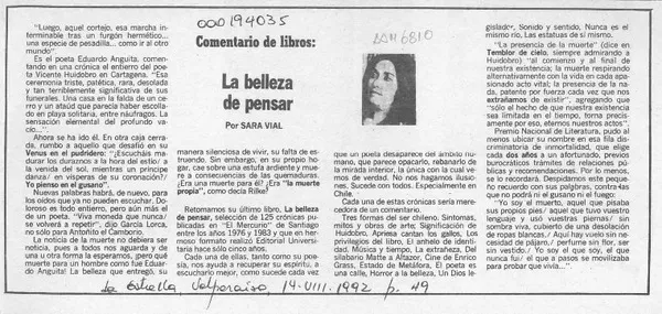 La belleza de pensar  [artículo] Sara Vial.