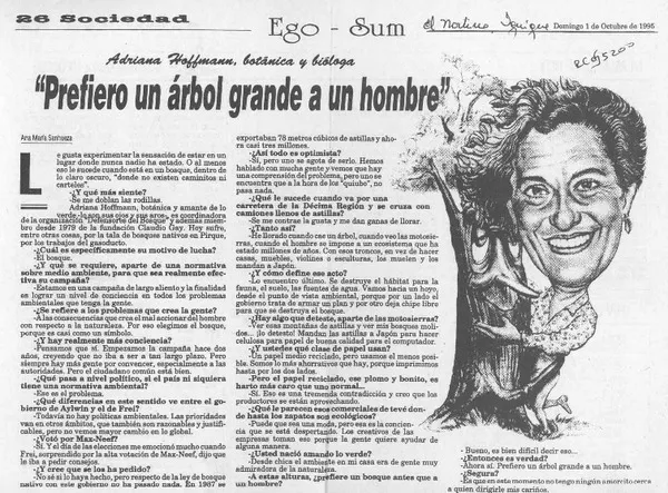 "Prefiero un árbol grande a un hombre"  [artículo] Ana María Sanhueza.